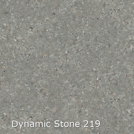 Dynamic Stone-219